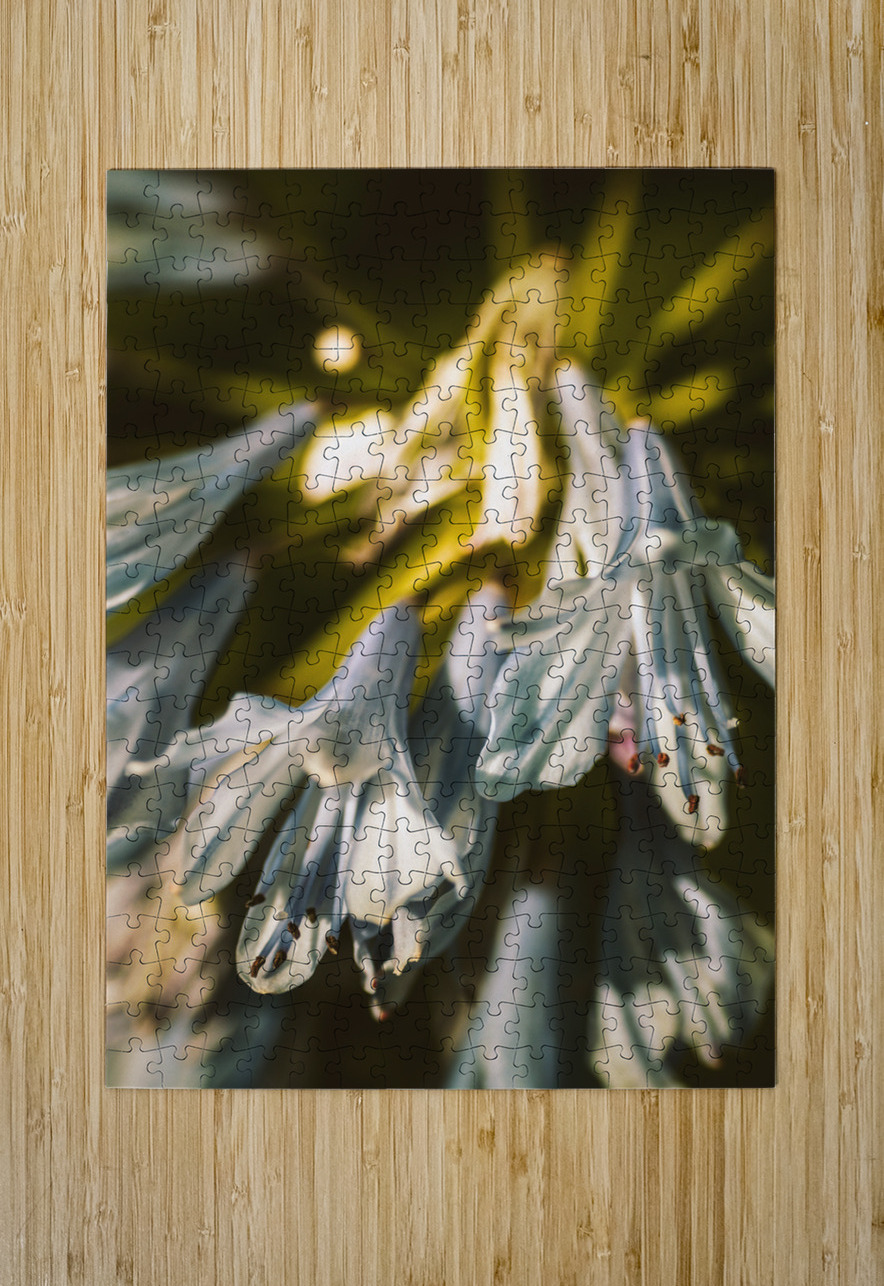 Vintage Agapanthus flower Jorgo Puzzle printing