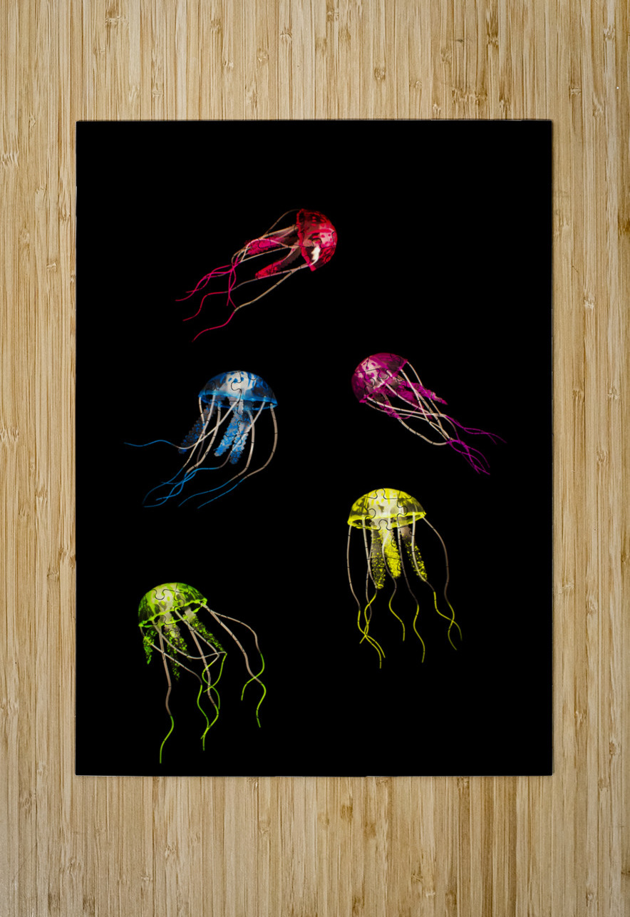 In colours of swirling jellyfishes  Jorgo Puzzle printing