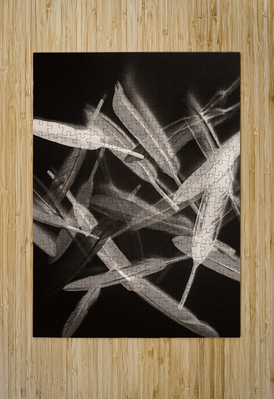 Zened Jorgo Puzzle printing