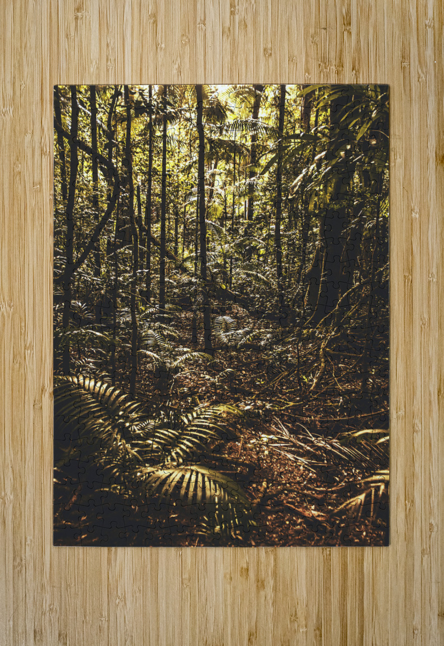 Mary Cairncross Scenic Reserve Jorgo Puzzle printing