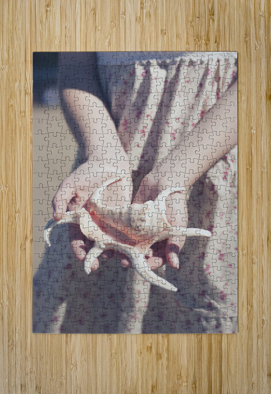 Hands Holding Large Seashell Jorgo Puzzle printing