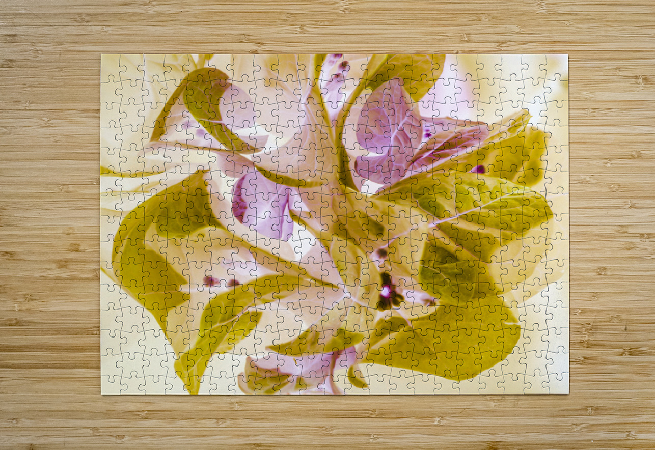 Pastel inverse Jorgo Puzzle printing