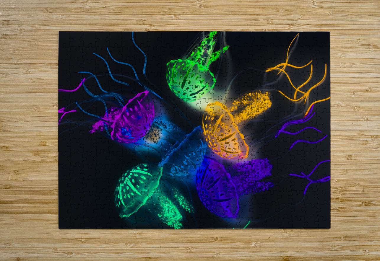Marine glow Jorgo Puzzle printing