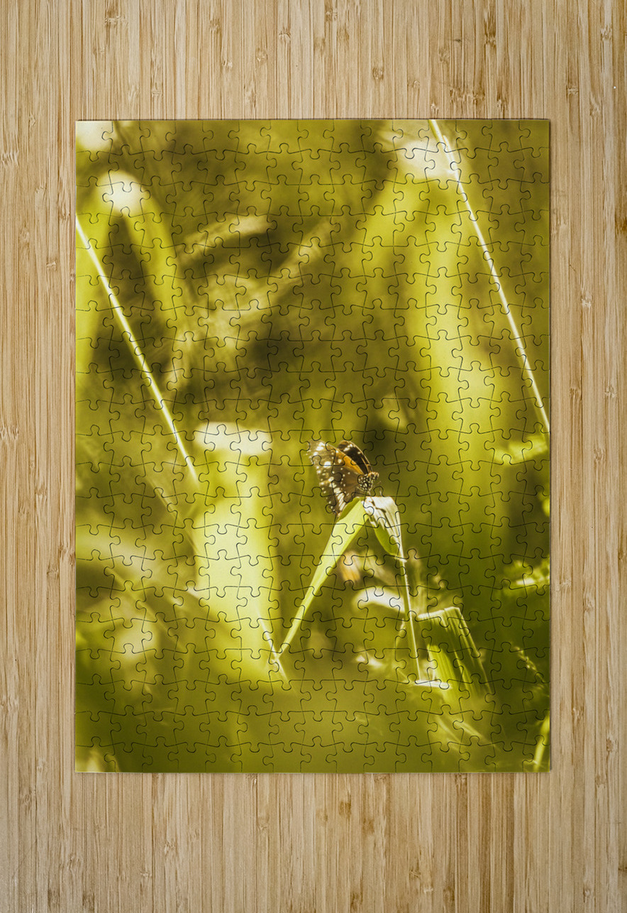 Jungle butterfly Jorgo Puzzle printing