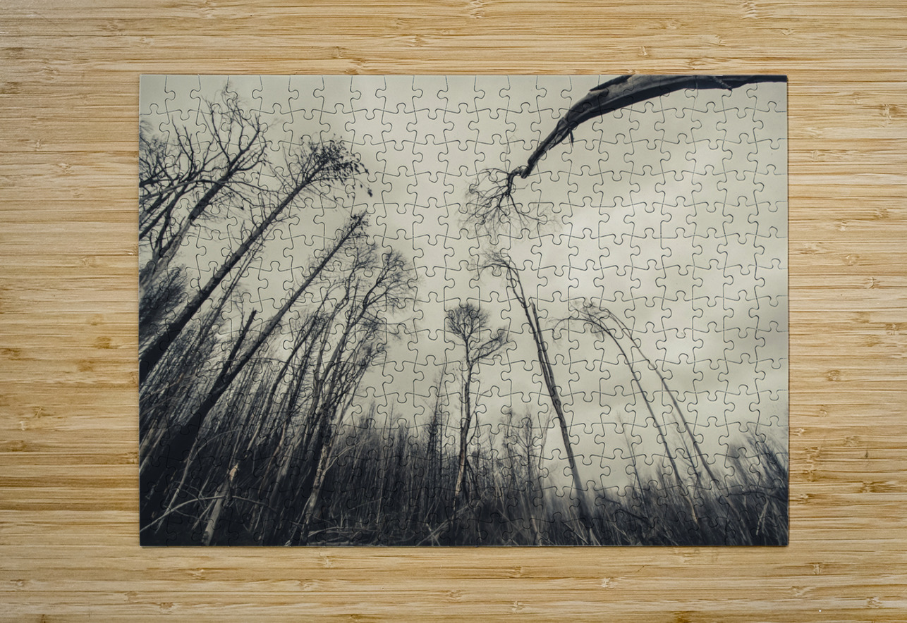 Haunting wood Jorgo Puzzle printing