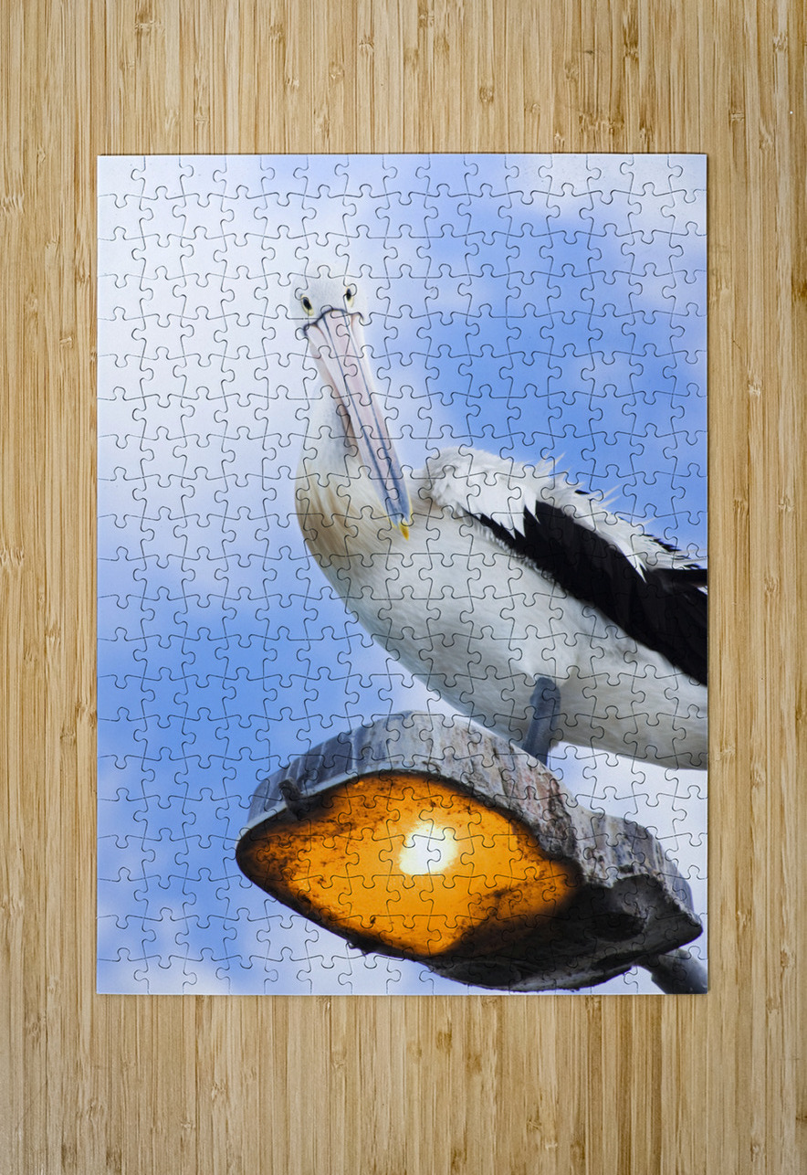 Peace And Balance Jorgo Puzzle printing