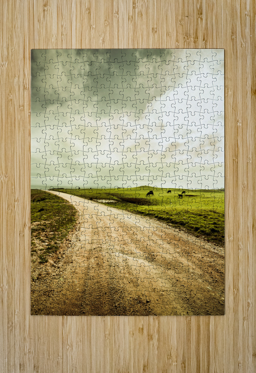 Farmland lane Jorgo Puzzle printing