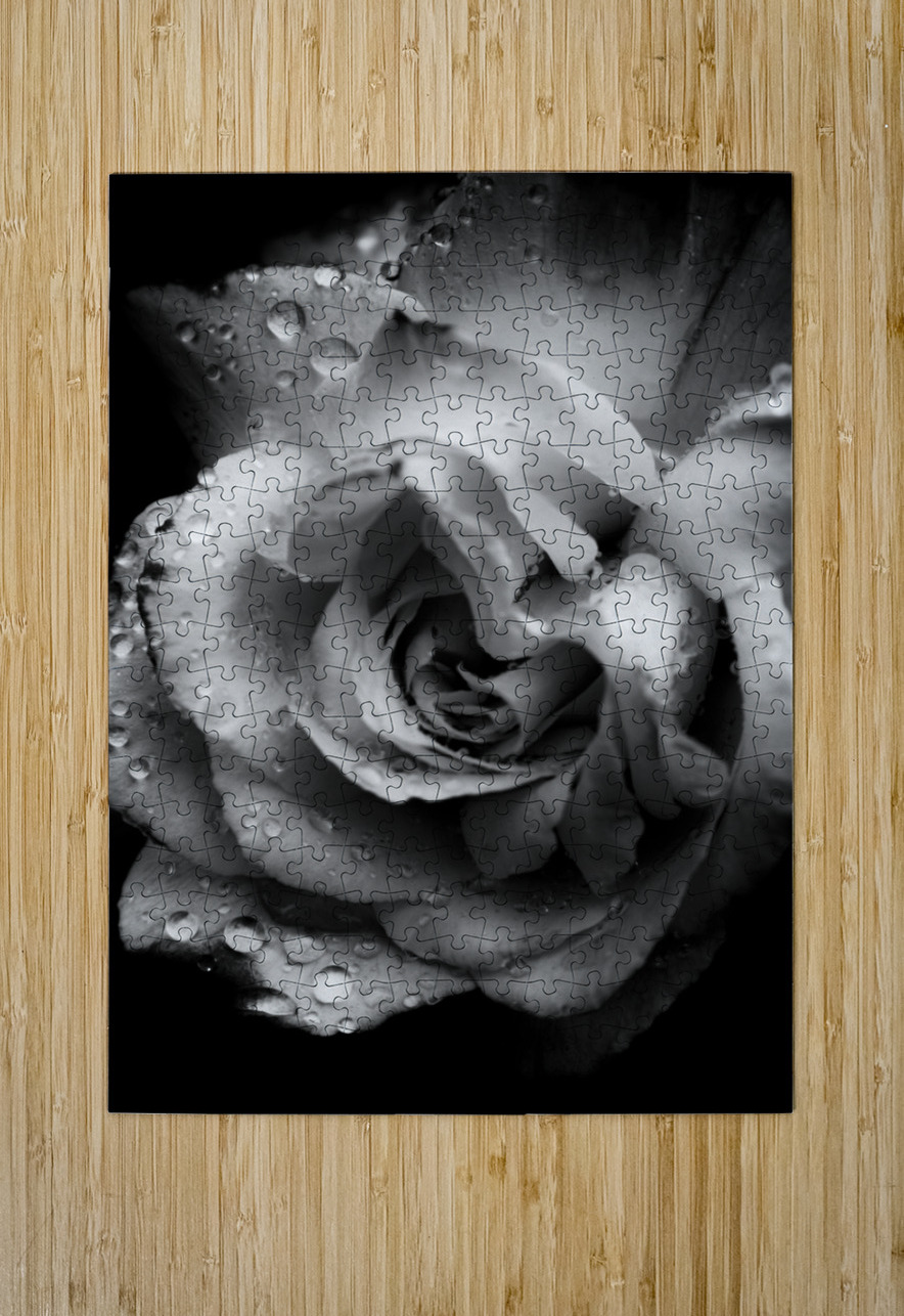Rose n rain Jorgo Puzzle printing