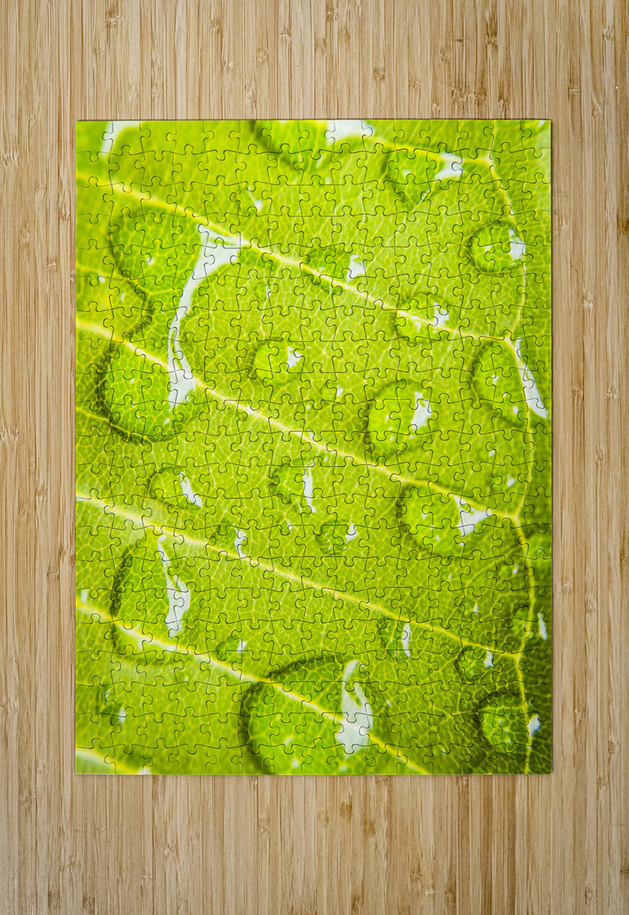 Summer rain Jorgo Puzzle printing