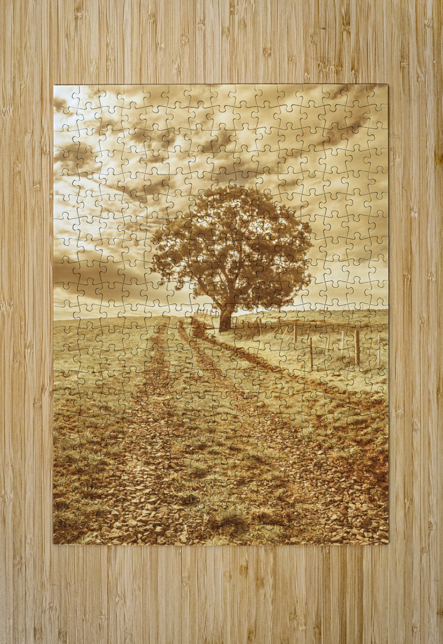 Tasmania farm sunrise Jorgo Puzzle printing