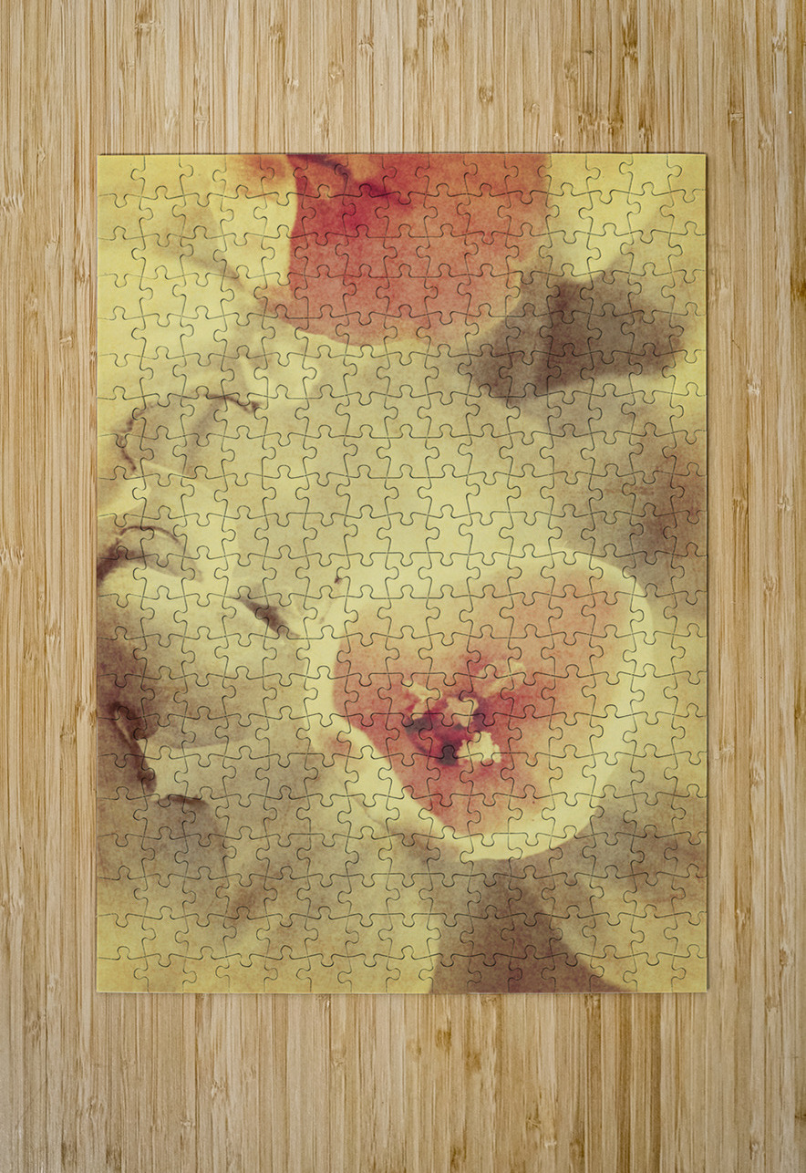 Weathered and faded daffodils Jorgo Puzzle printing