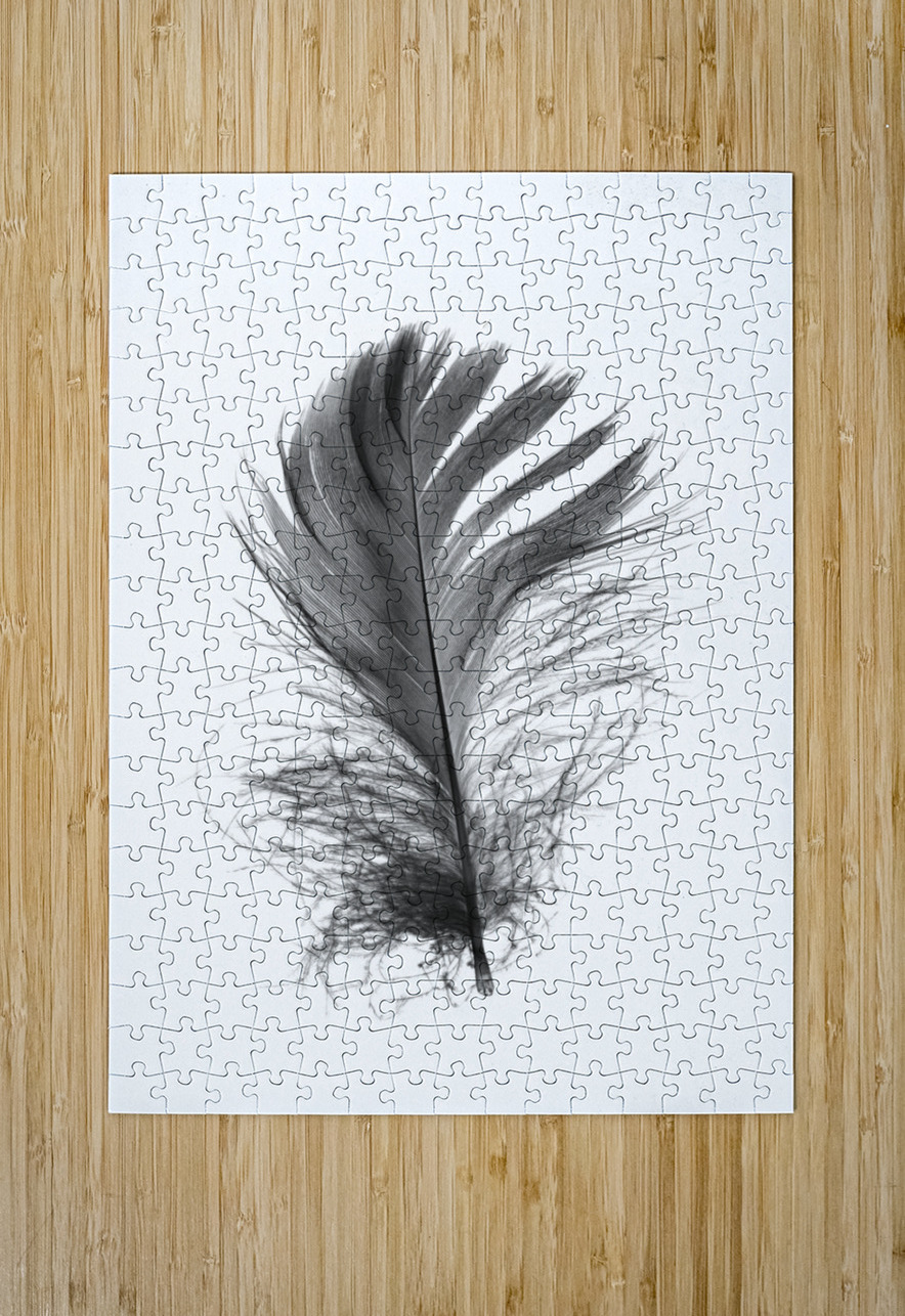 Feathermin Jorgo Puzzle printing