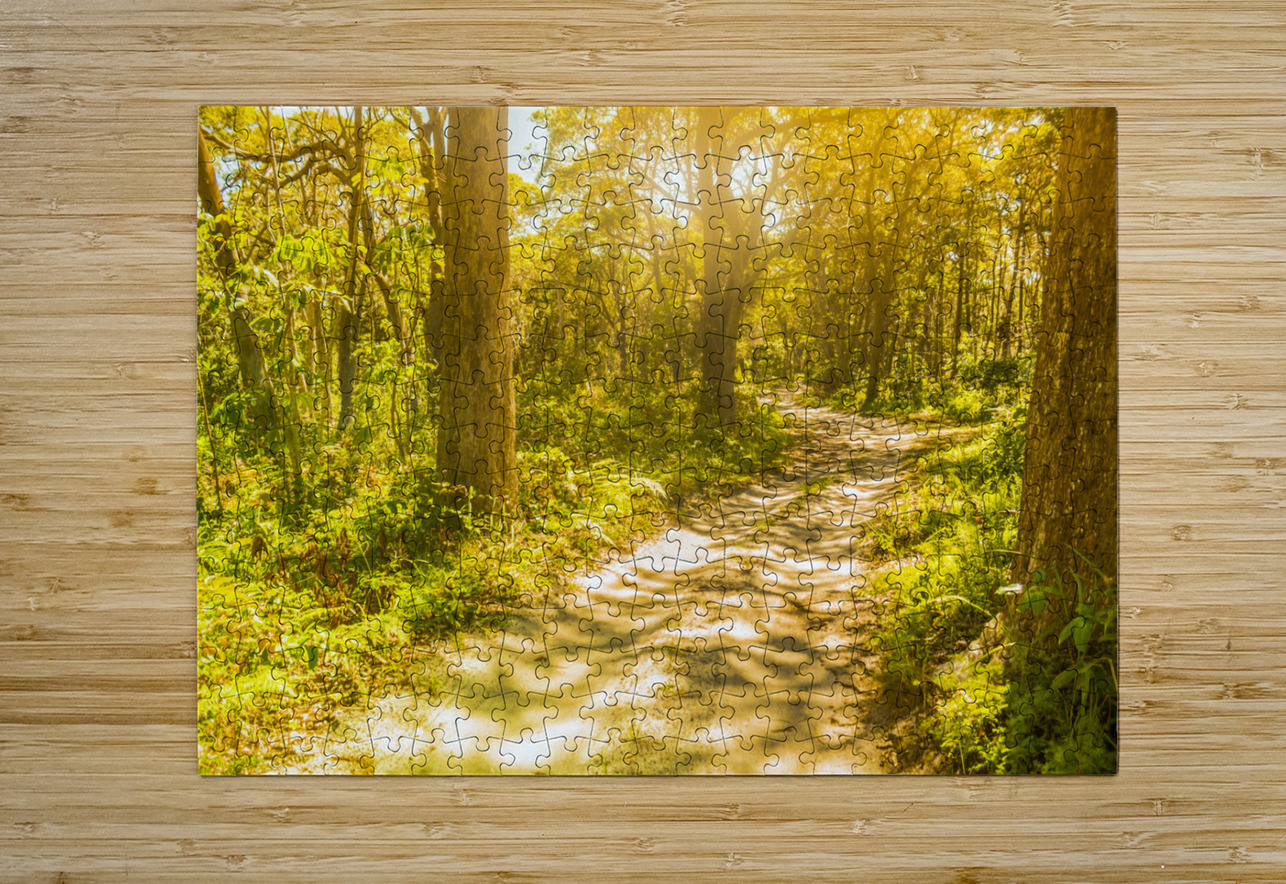 Lostwoods Jorgo Puzzle printing