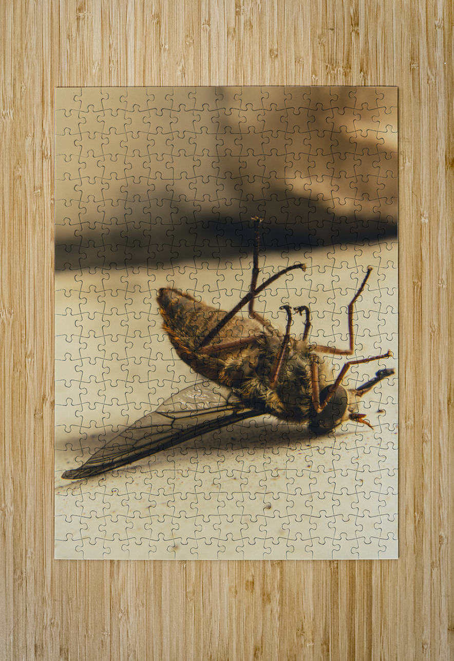 No escape Jorgo Puzzle printing