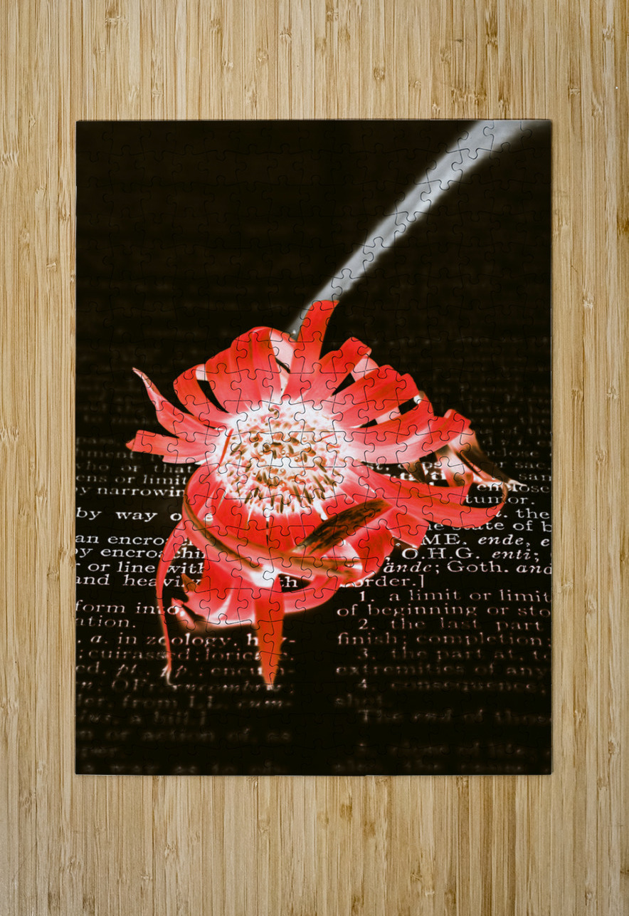 Inversion to the mean Jorgo Puzzle printing