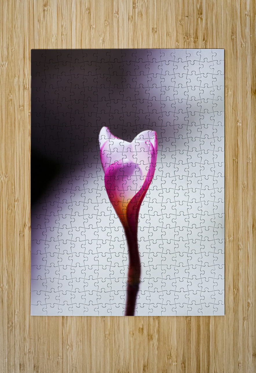 Beauty In Growth Jorgo Puzzle printing