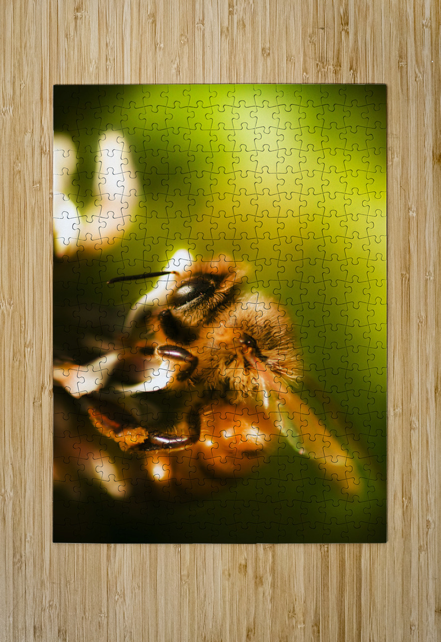 Process Of Pollination Jorgo Puzzle printing