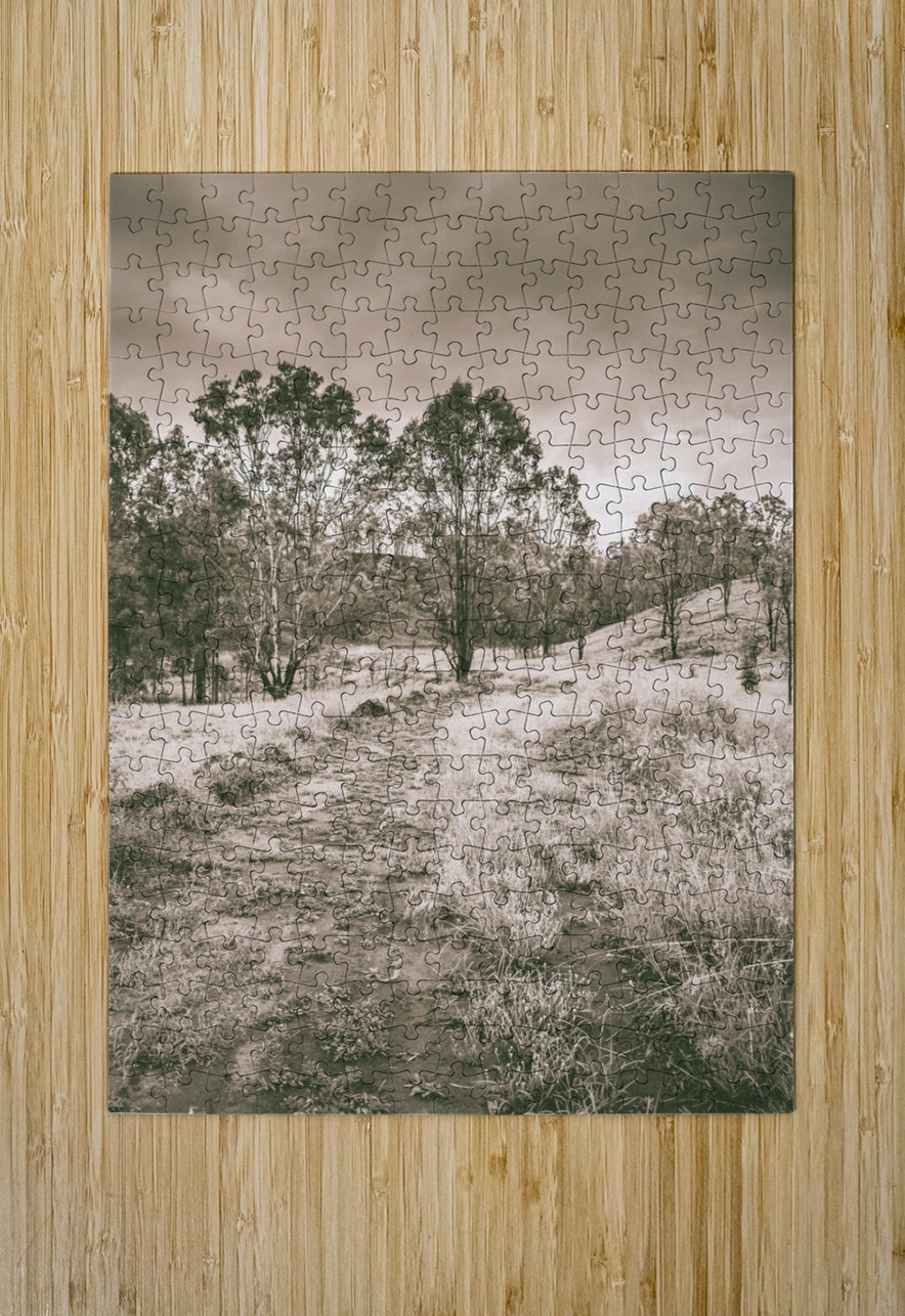 Through fields aplenty Jorgo Puzzle printing