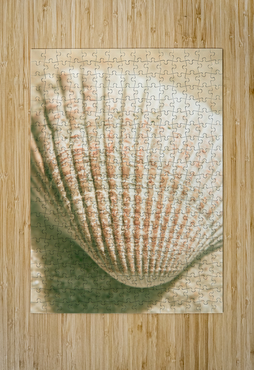 Macro marine minimalism Jorgo Puzzle printing