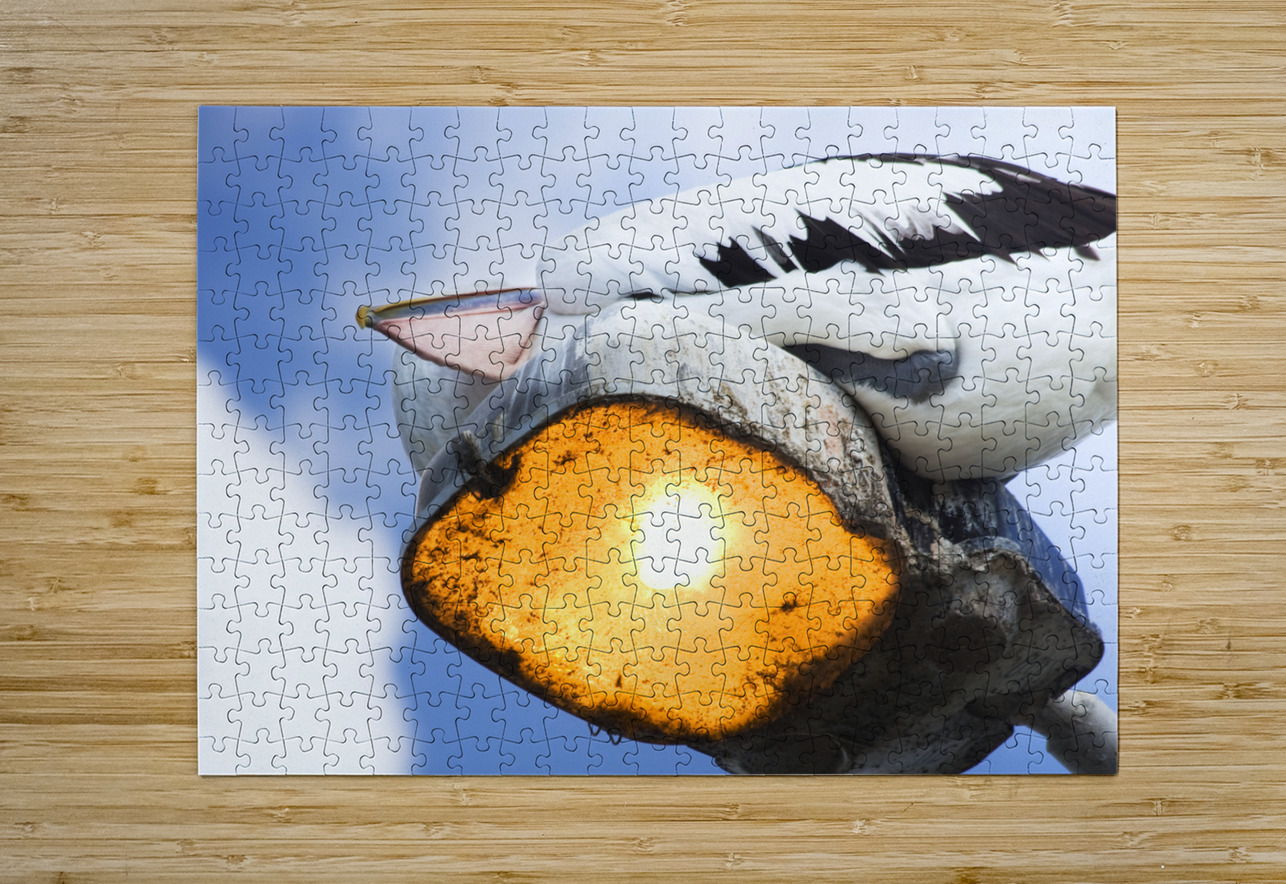 Summer Siesta Jorgo Puzzle printing