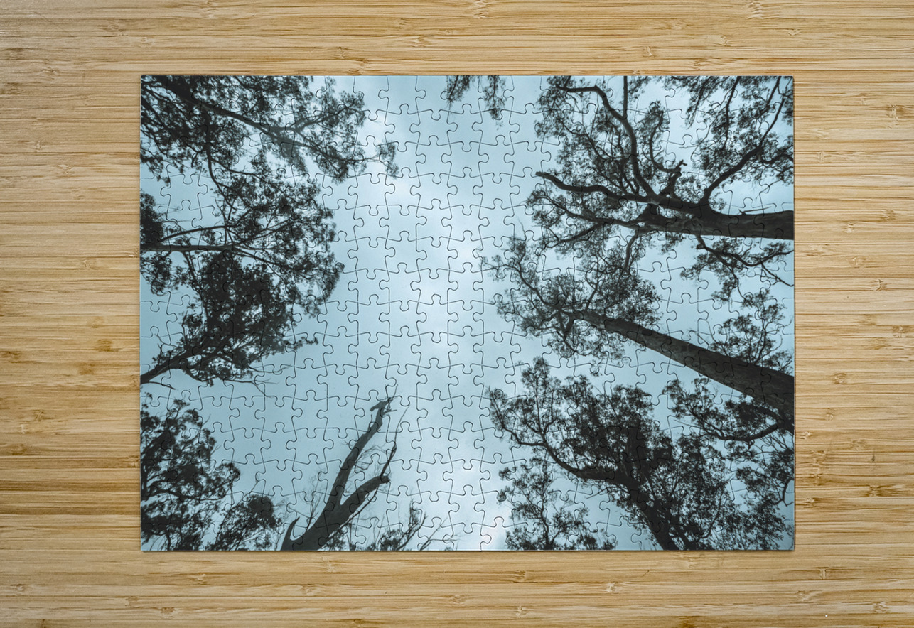 Midnight Canopy Jorgo Puzzle printing