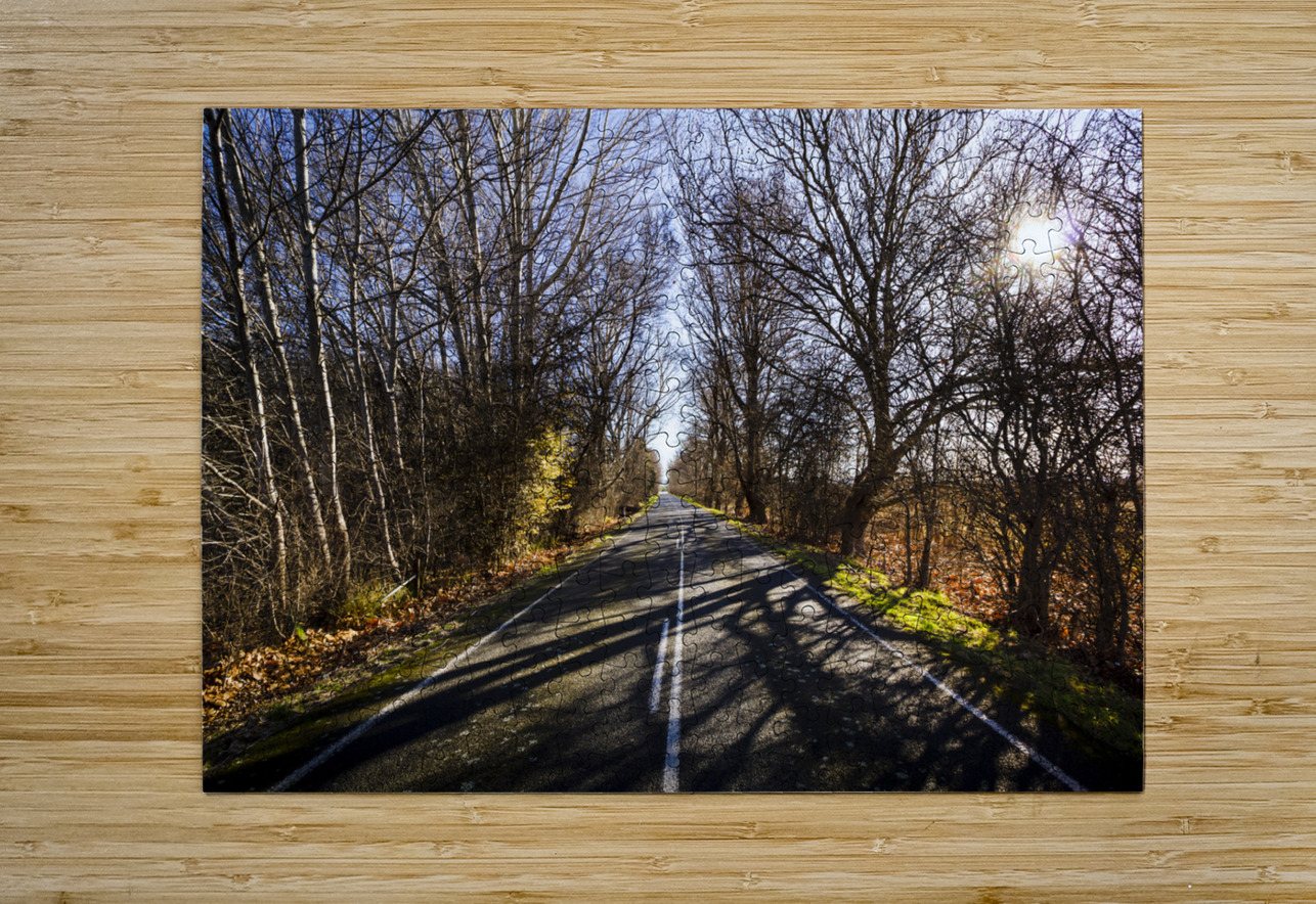 Beautiful roads in winters shadow Jorgo Puzzle printing