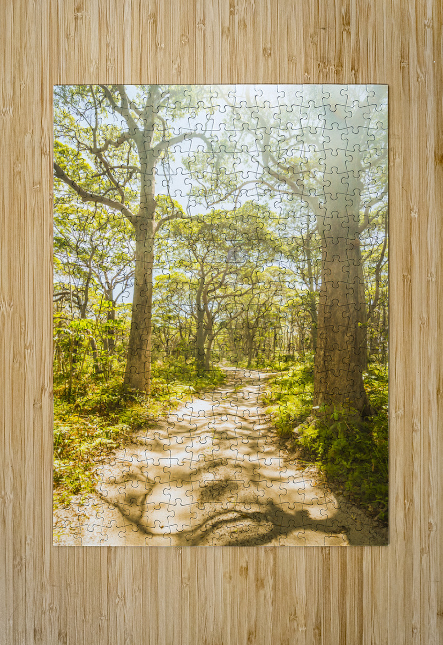 Island Avenue Jorgo Puzzle printing