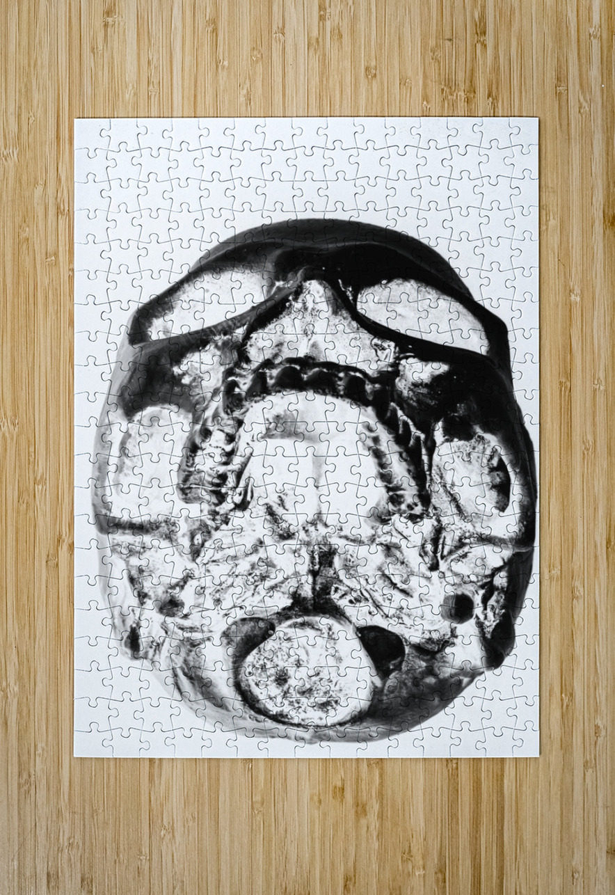 Skulls and dental records Jorgo Puzzle printing