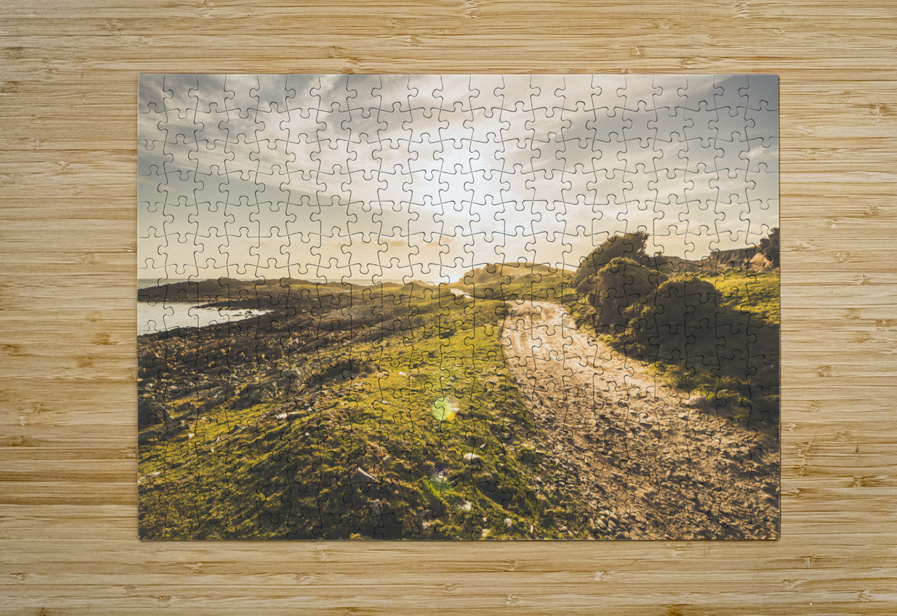 Routing western shores Jorgo Puzzle printing