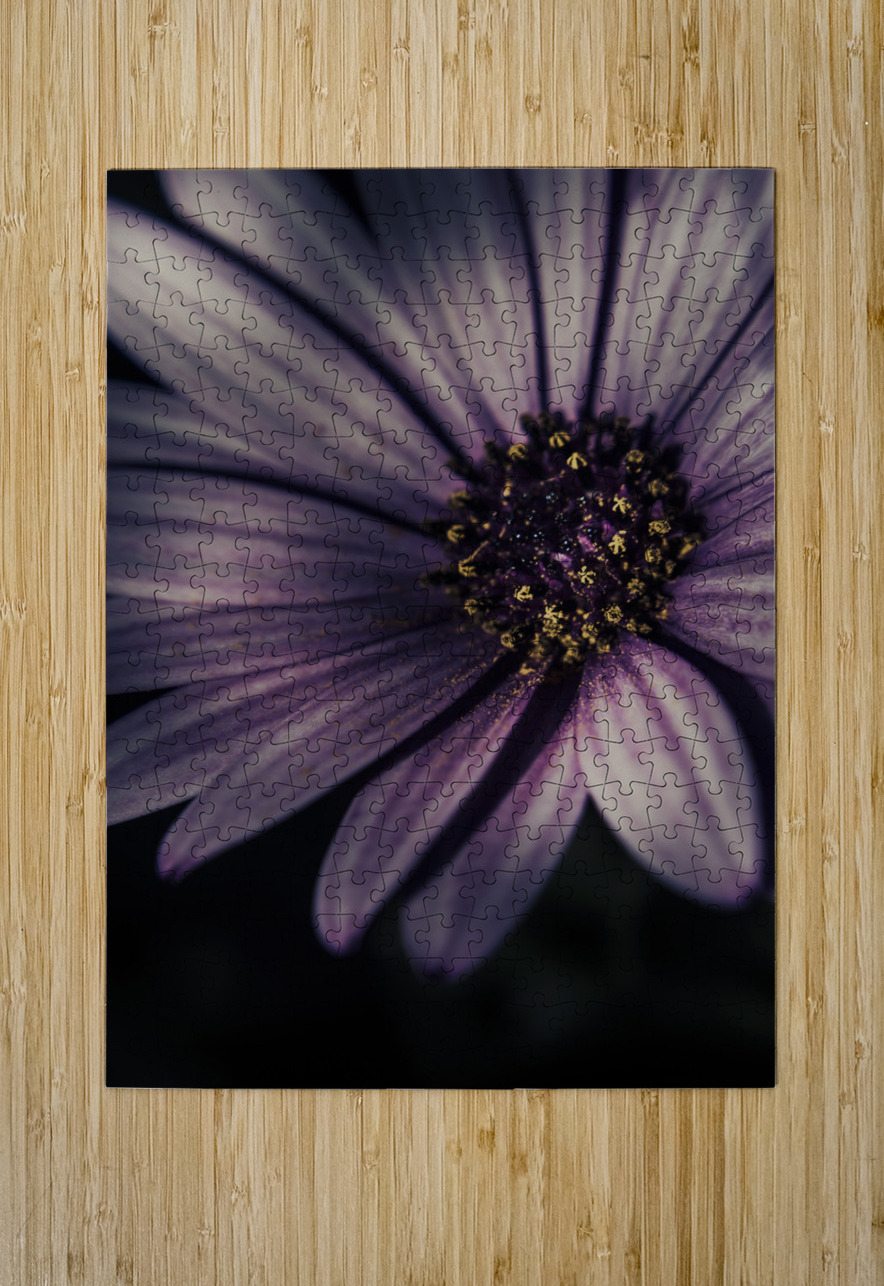 Twilight daisy Jorgo Puzzle printing
