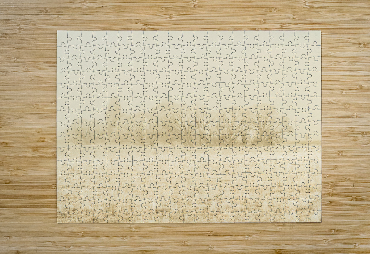 Icy cold foggy woodland Jorgo Puzzle printing