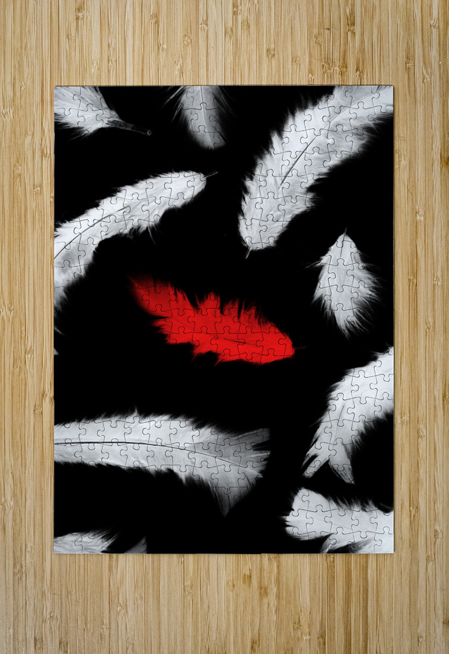 A different design Jorgo Puzzle printing