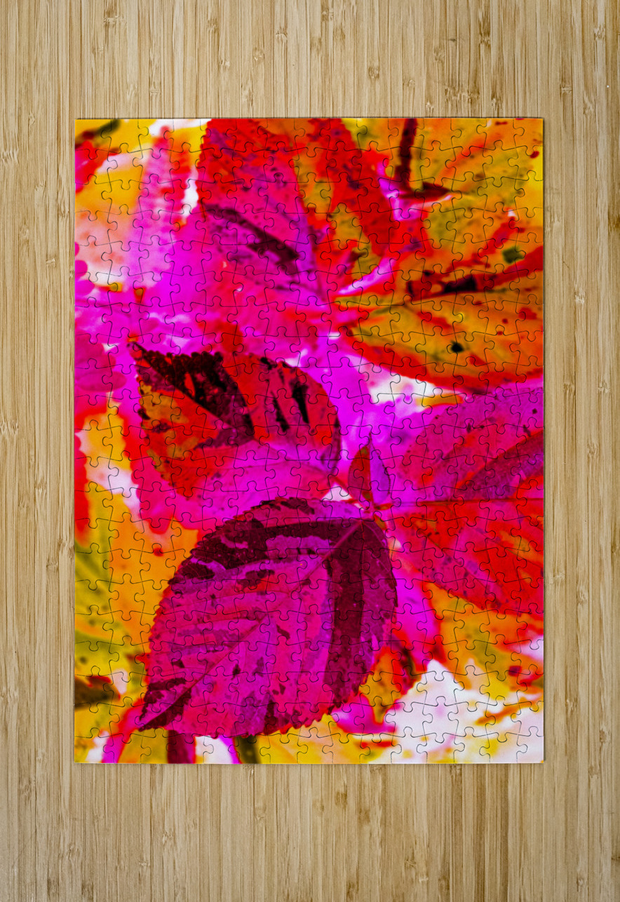 Color cluster Jorgo Puzzle printing