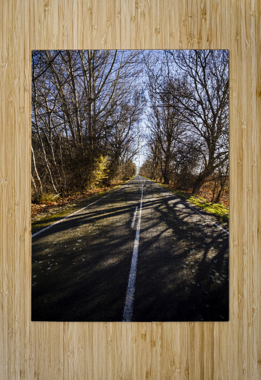 The way to Swansea Jorgo Puzzle printing