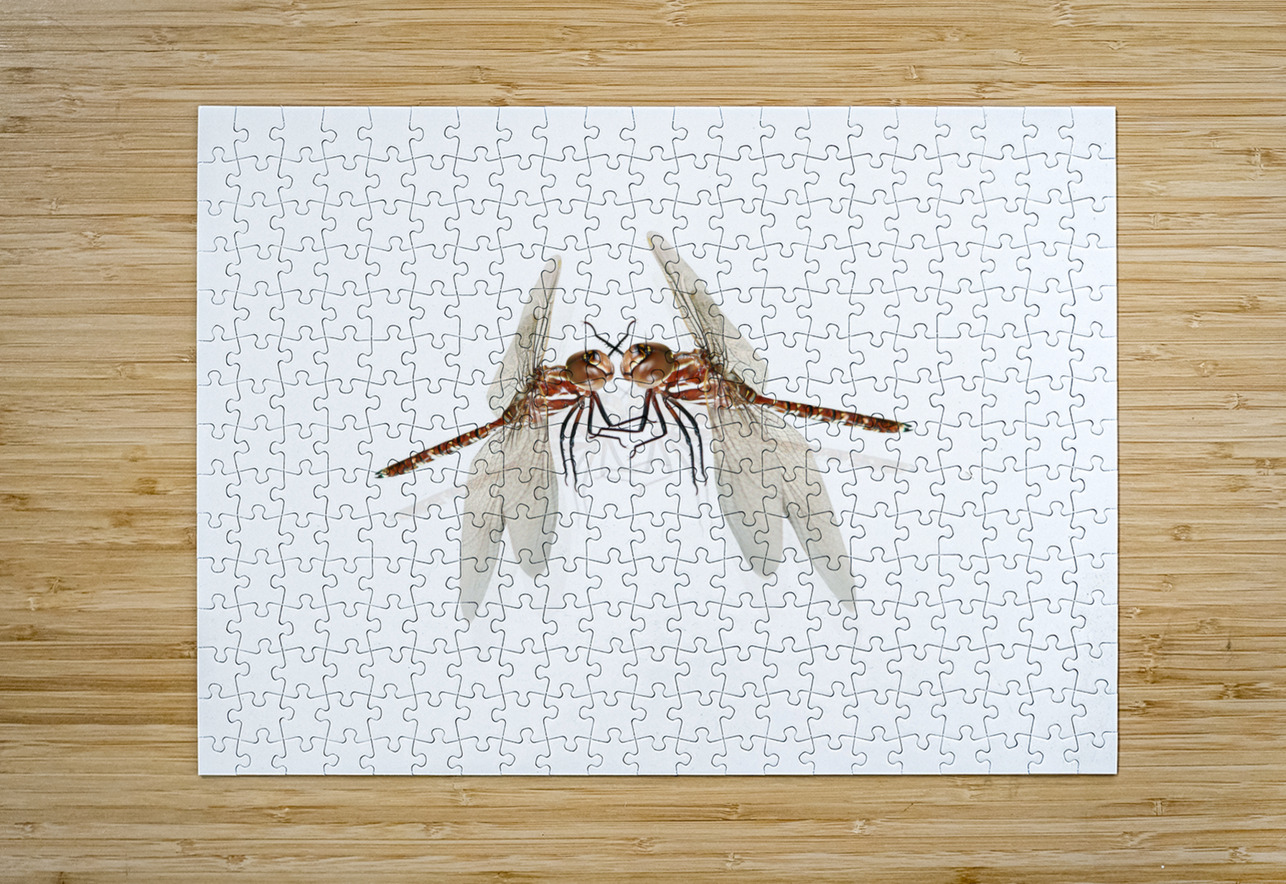 The Great Romanticism Jorgo Puzzle printing