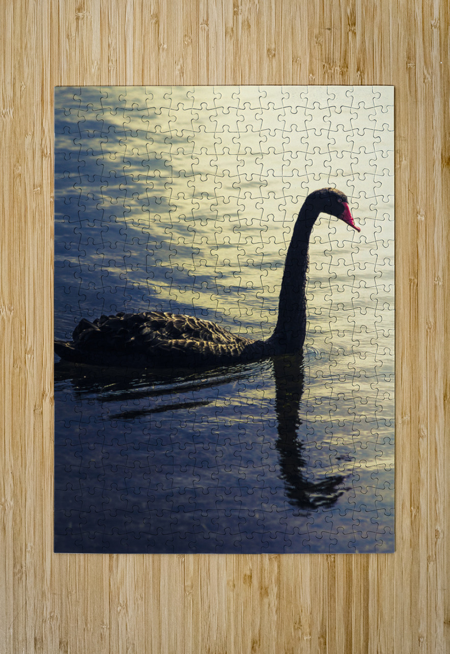 Edge of the wild Jorgo Puzzle printing