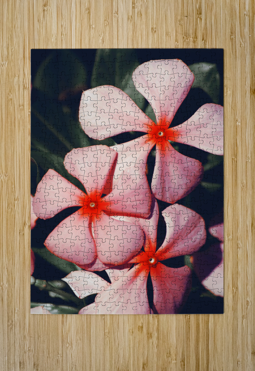 Flowering Pink Periwinkle Jorgo Puzzle printing