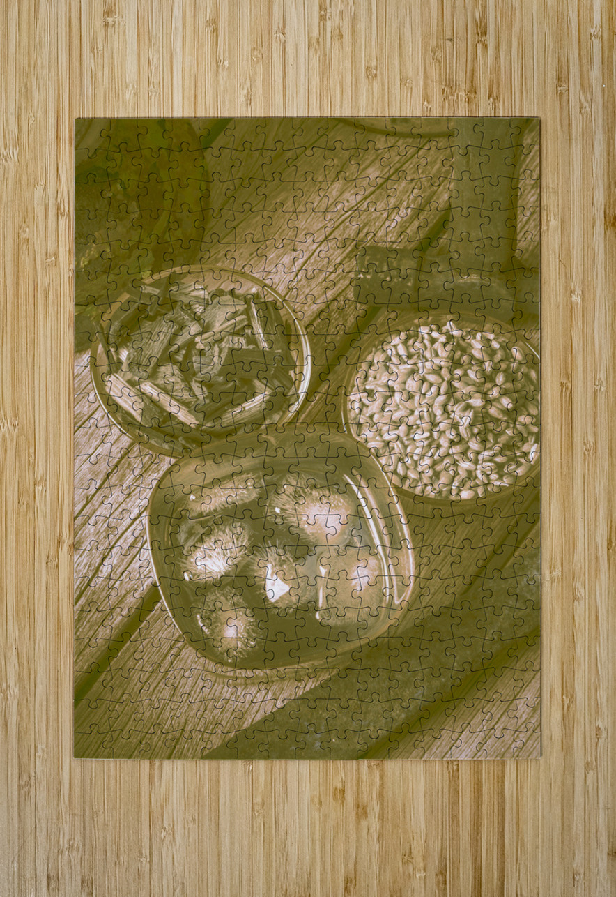 Chips off the old barrel Jorgo Puzzle printing