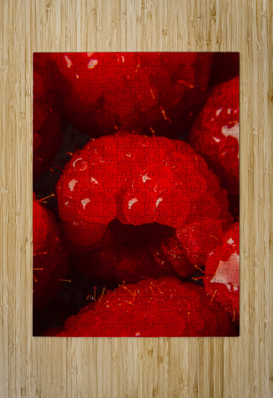 Raspberry macro Jorgo Puzzle printing