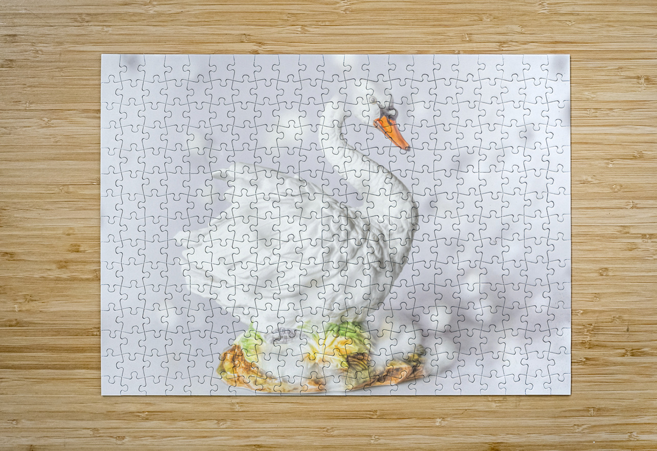 Serenity and grace Jorgo Puzzle printing