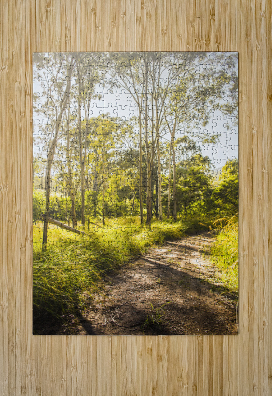 Wilderness Way Jorgo Puzzle printing