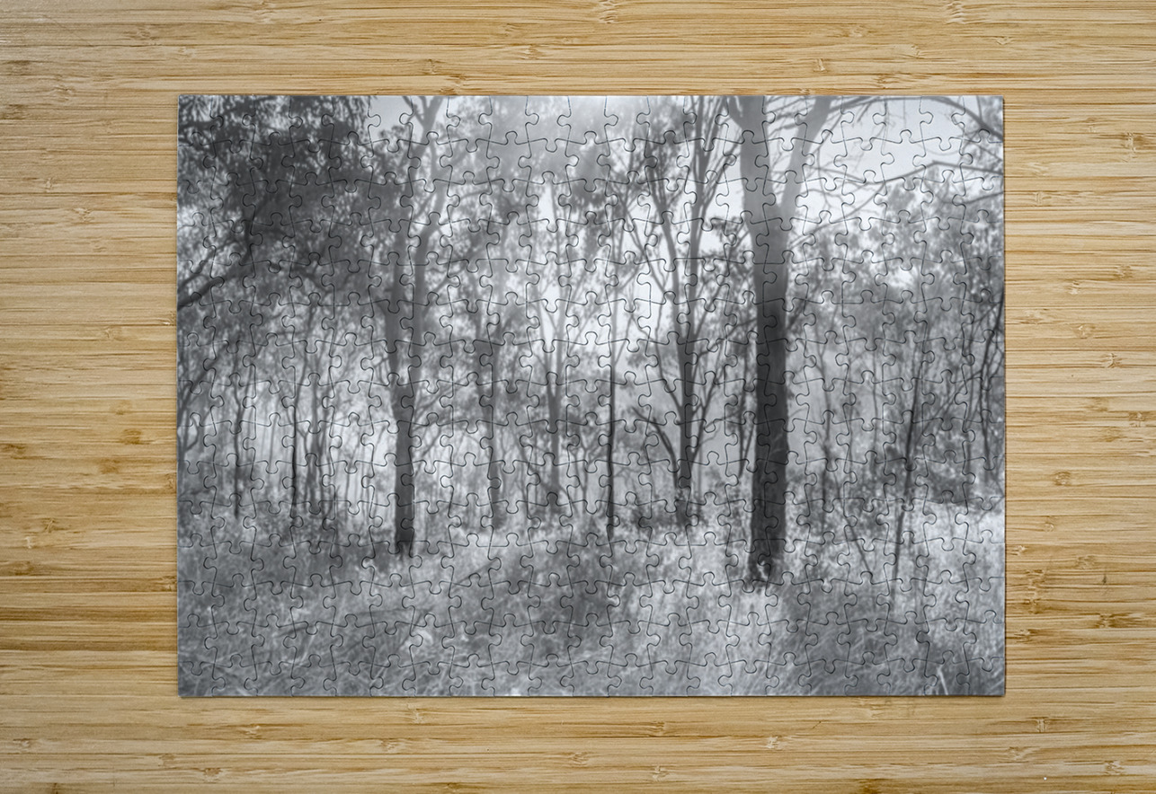 Inland Interplay Jorgo Puzzle printing