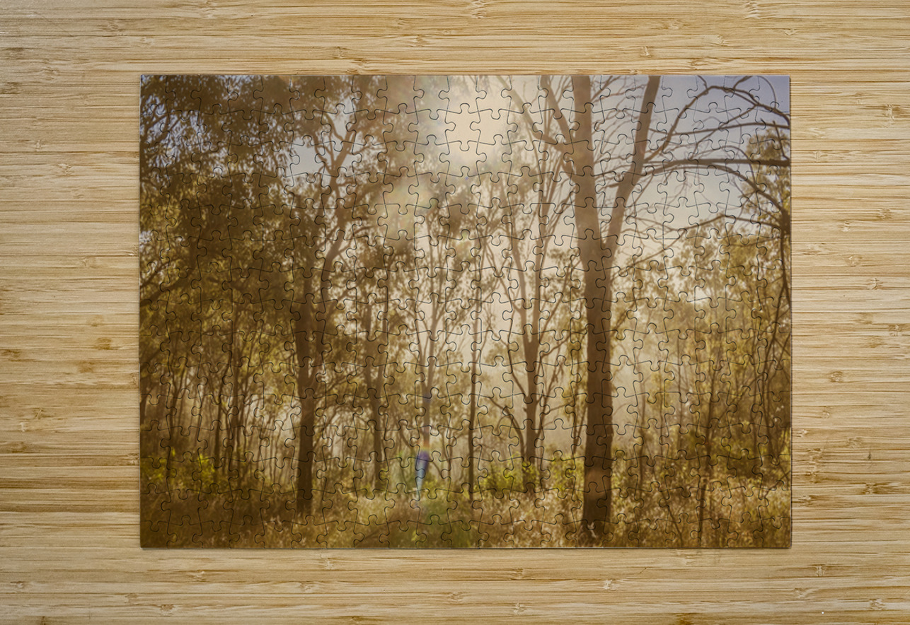 Sunflares And Foliage Jorgo Puzzle printing