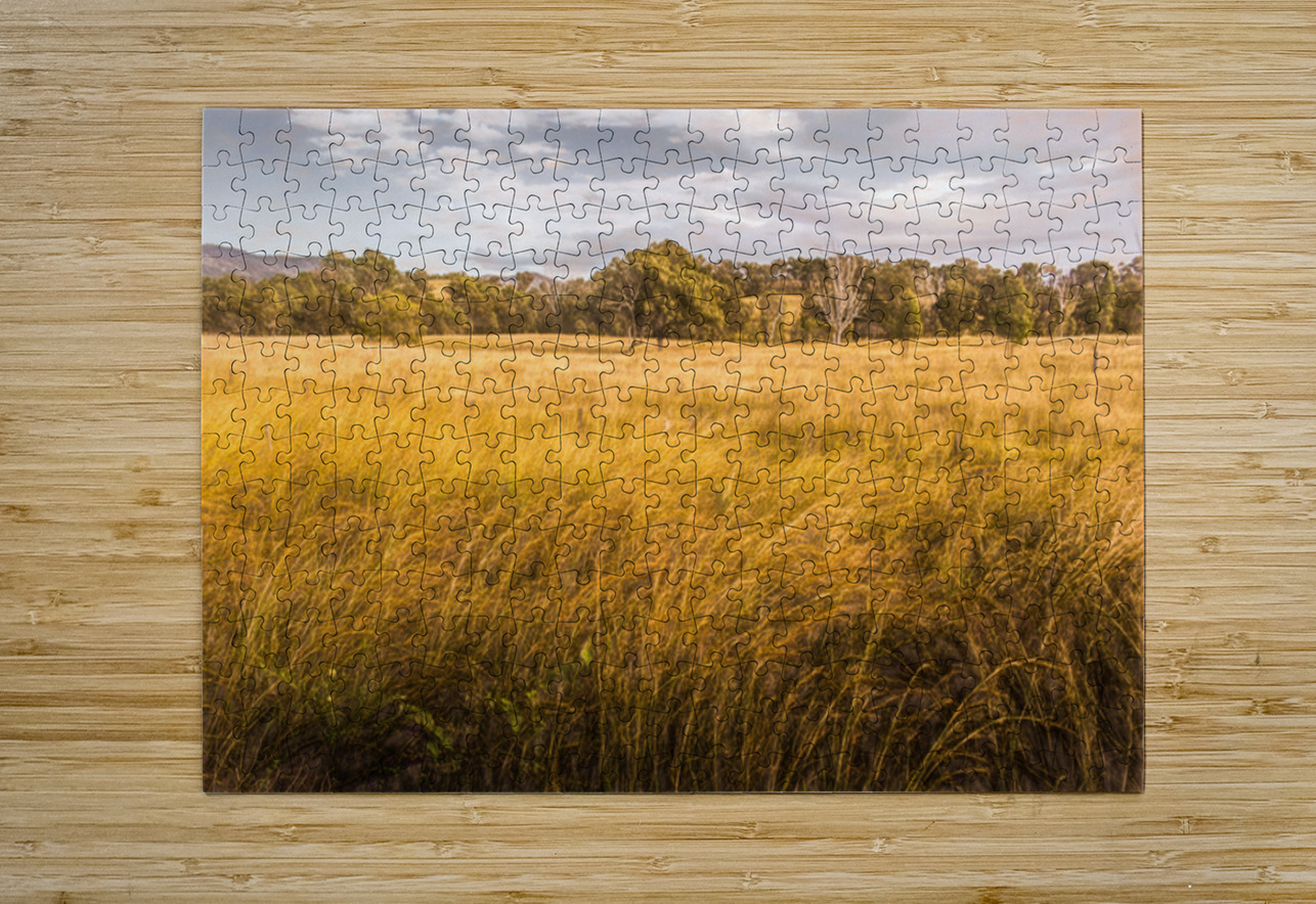 In The Outbacks Jorgo Puzzle printing