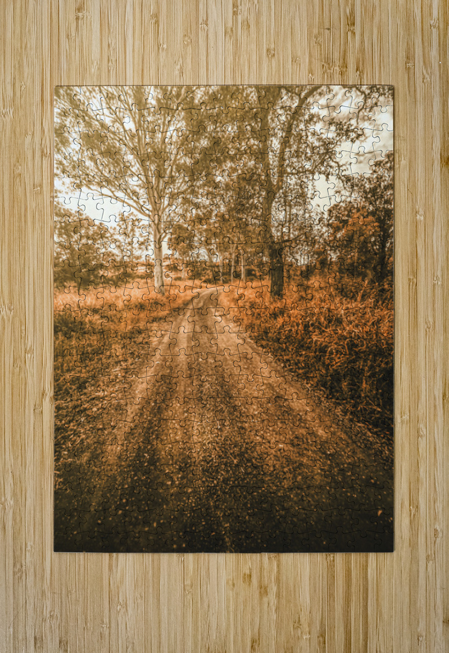 Bucolic Backroad Jorgo Puzzle printing