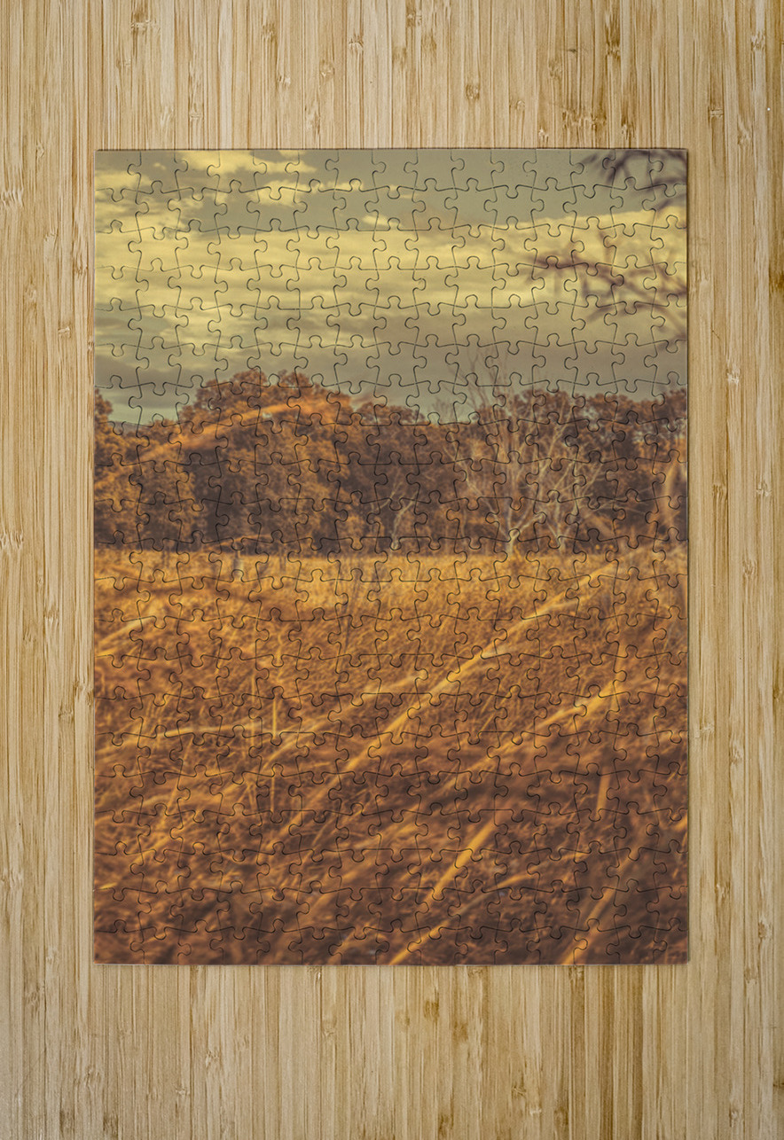 Wind And Fall Fields Jorgo Puzzle printing