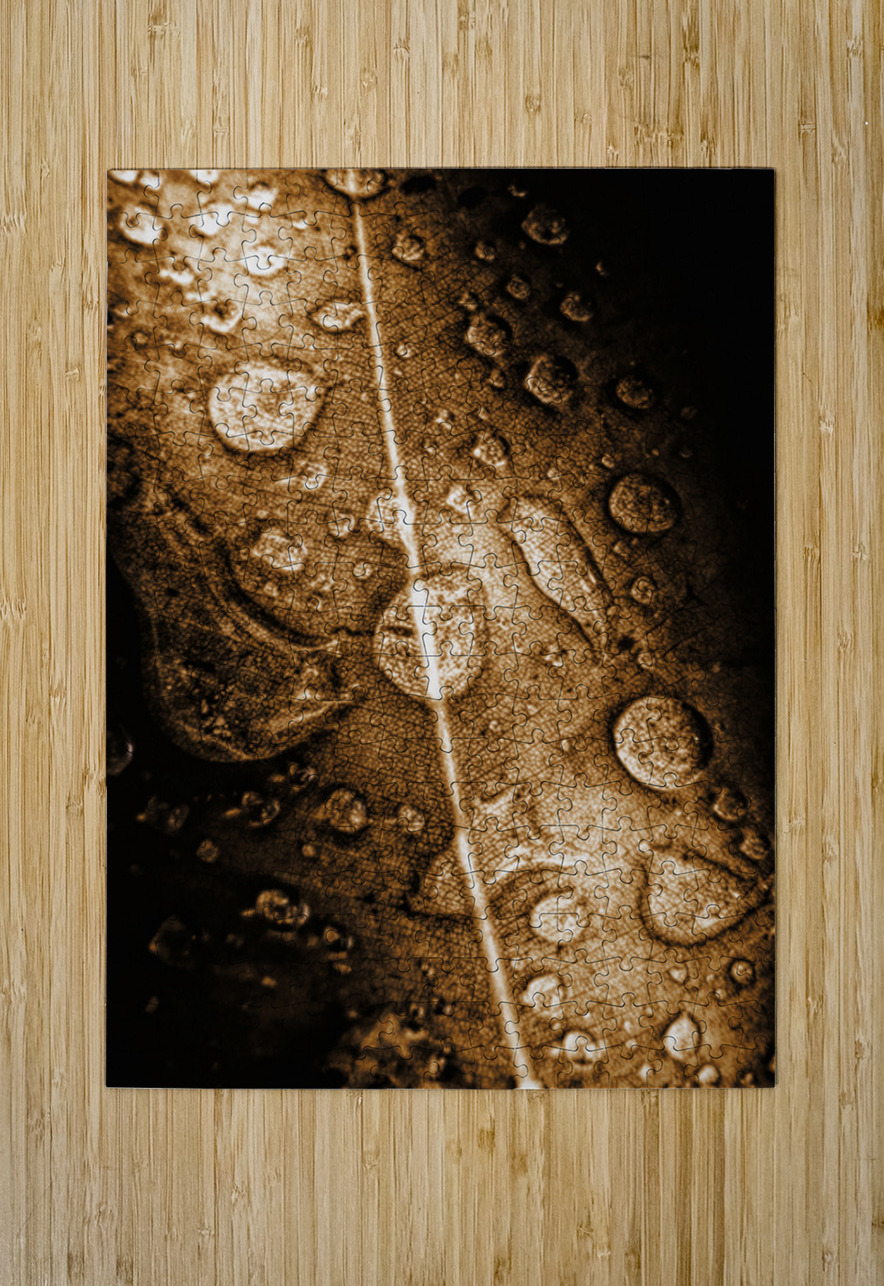 Fall In Rain Jorgo Puzzle printing