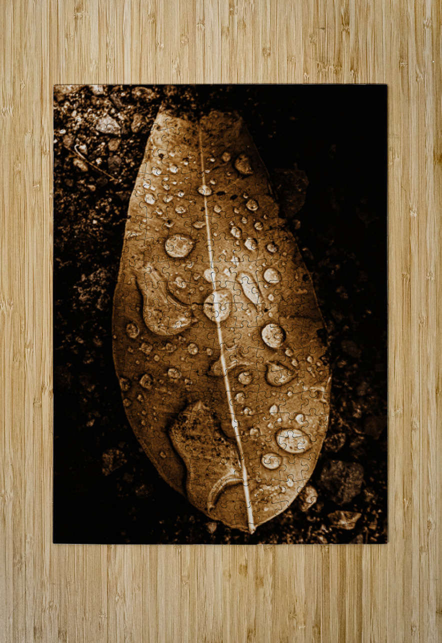 Autumn Rains Jorgo Puzzle printing