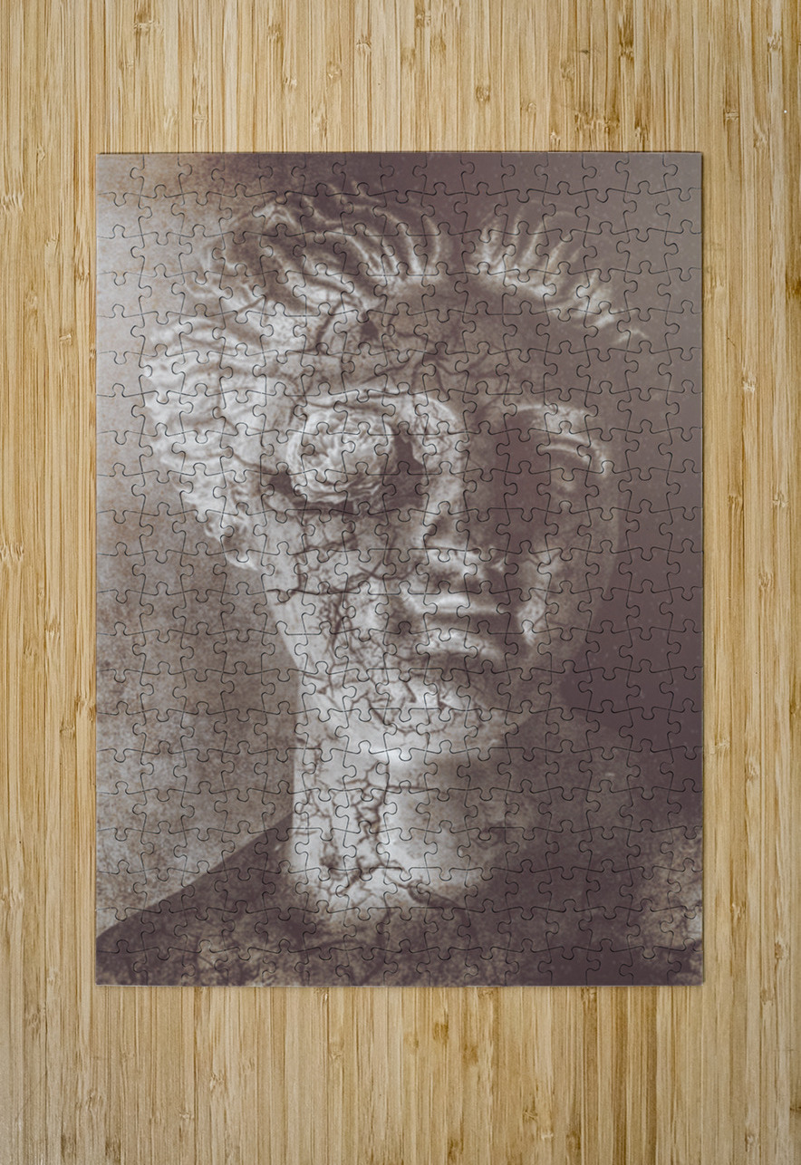 Beauty Never Fades Jorgo Puzzle printing