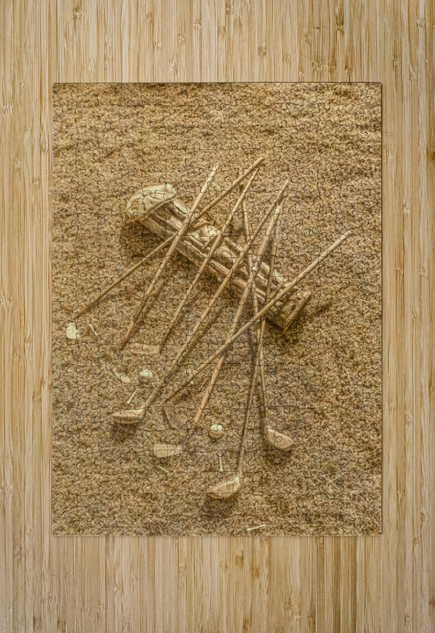 Match Sticks Jorgo Puzzle printing